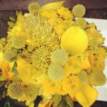 /album/gallery/a1005542-662171083831230-8924784629298731207-n-jpg/
